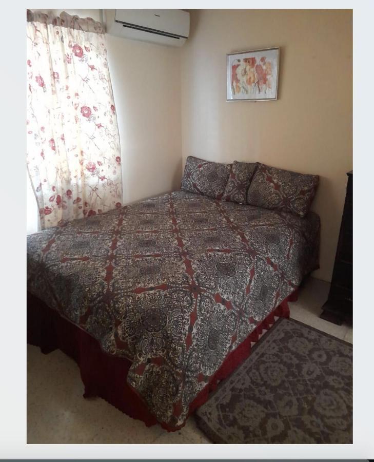 Apartmán Chelsea Manor Kingston Exteriér fotografie